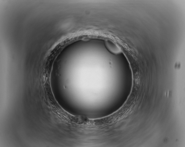 X0000100961495200807011319