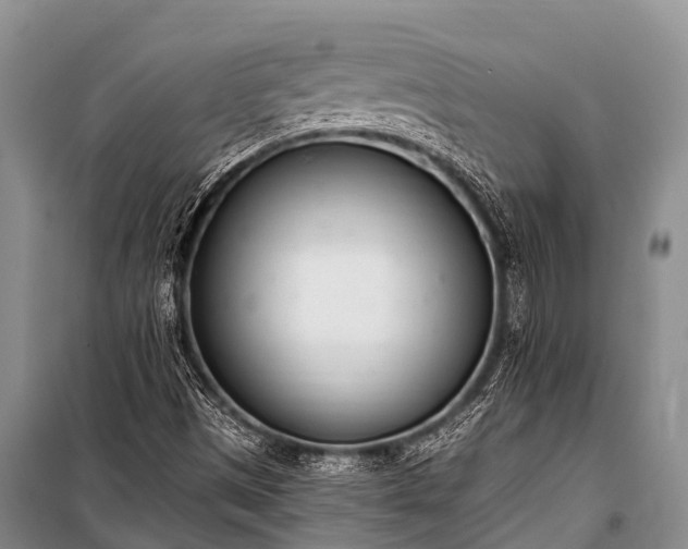 X0000100961497200807011320