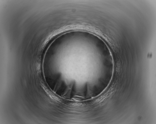 X0000100961499200807011320