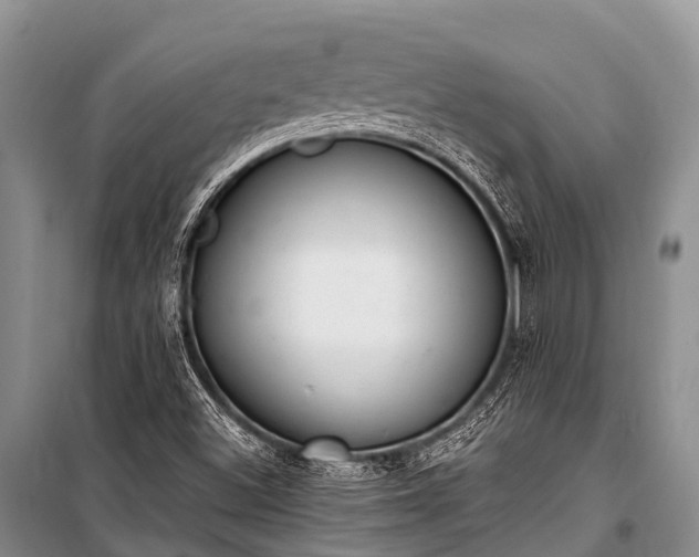 X0000100961500200807011320