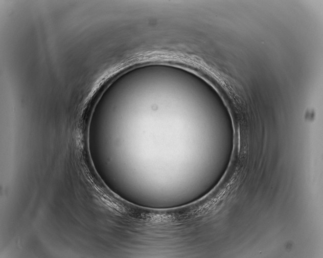 X0000100961501200807011320