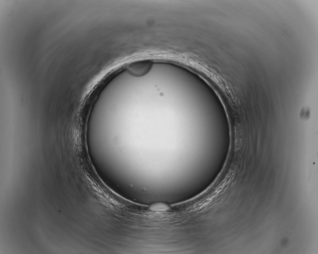 X0000100961502200807011320