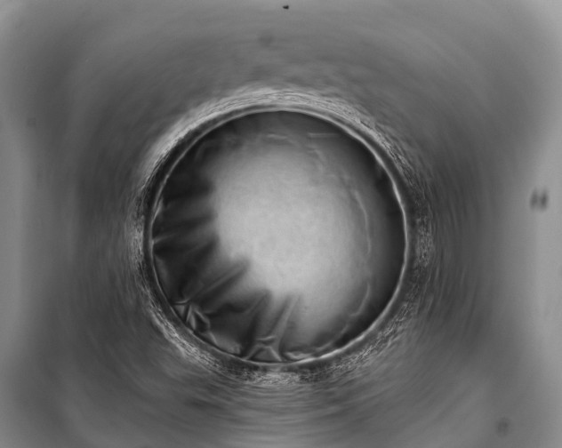 X0000100961503200807011320