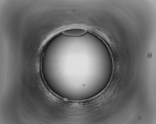 X0000100961504200807011320