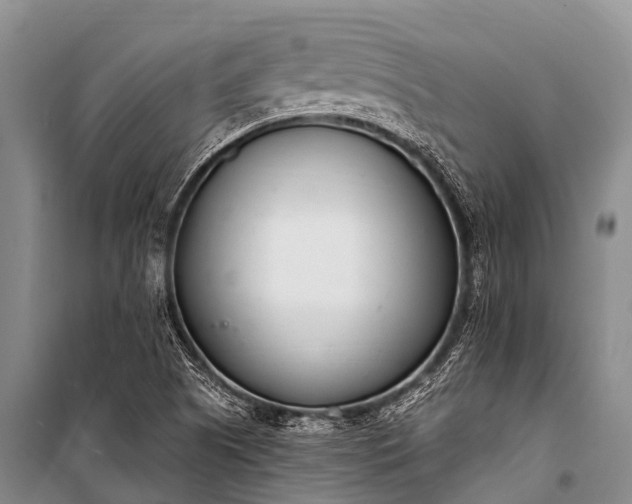 X0000100961505200807011320