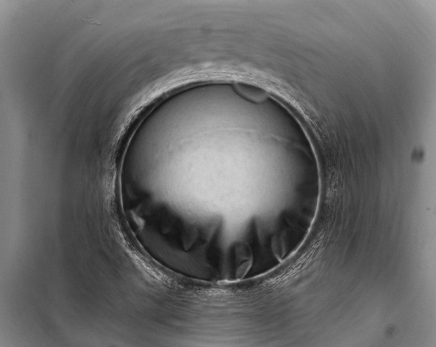 X0000100961507200807011320