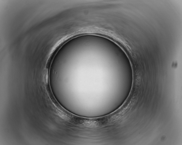 X0000100961509200807011320
