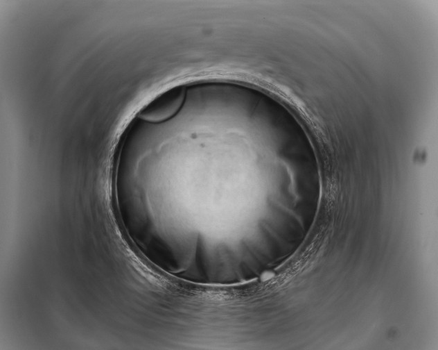 X0000100961512200807011320