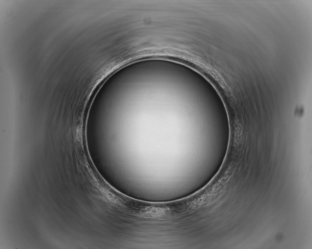 X0000100961513200807011320