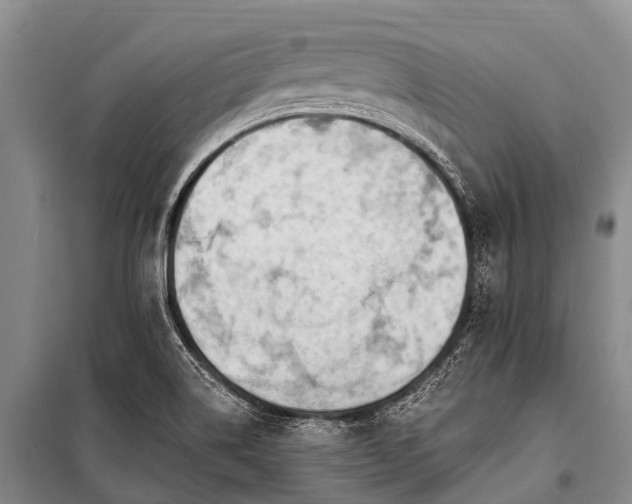 X0000100961514200807011320