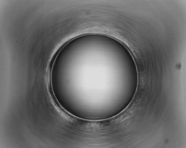 X0000100961515200807011320