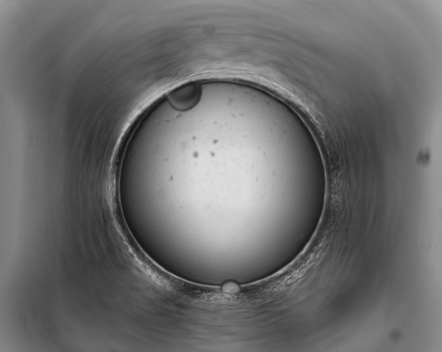 X0000100961517200807011320