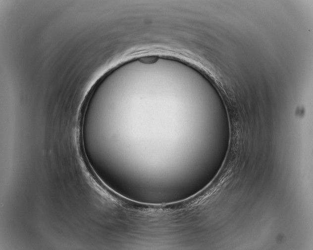 X0000100961518200807011320