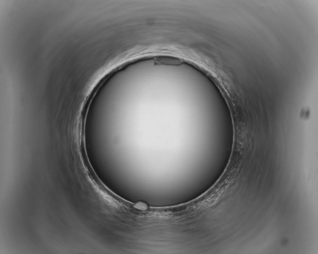 X0000100961519200807011320