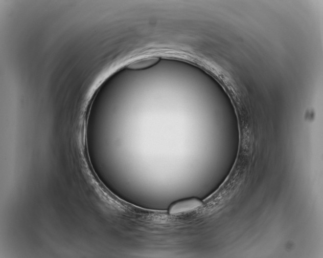 X0000100961520200807011320