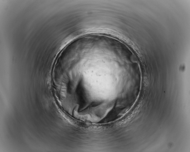 X0000100961521200807011320