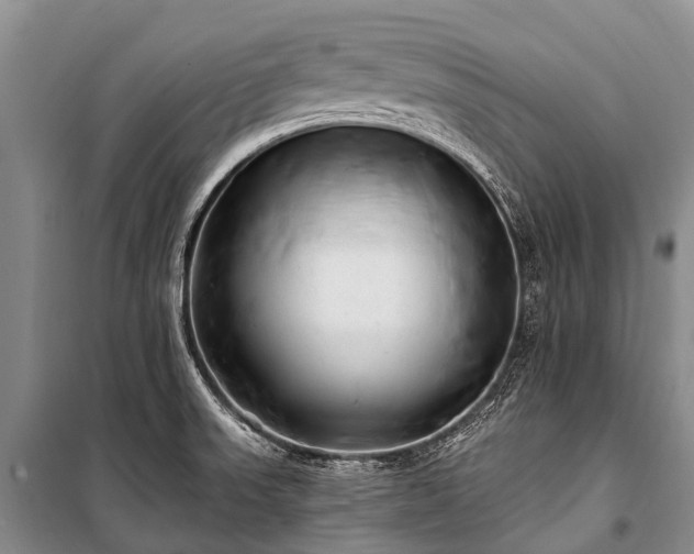 X0000100961523200807011320