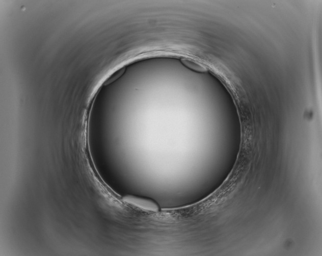 X0000100961524200807011320