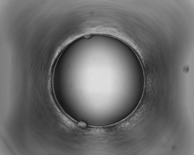 X0000100961525200807011320
