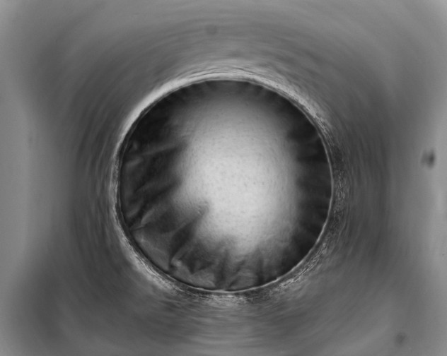 X0000100961526200807011320