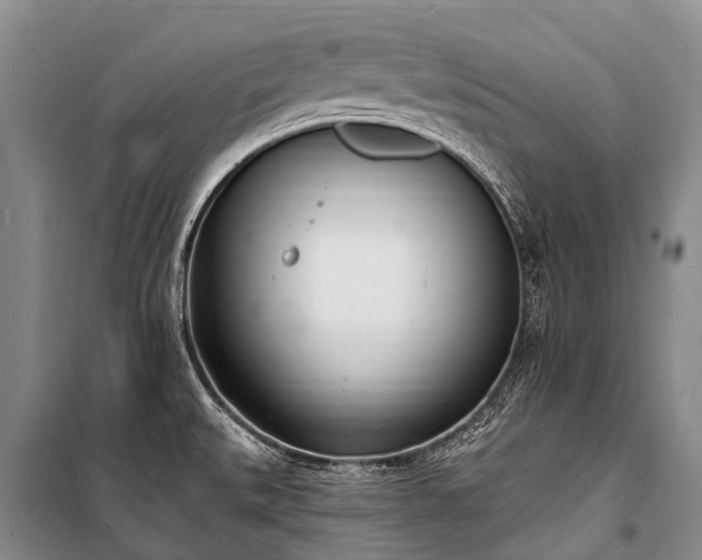 X0000100961527200807011320