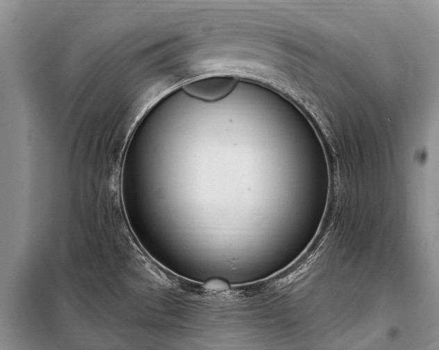 X0000100961529200807011320