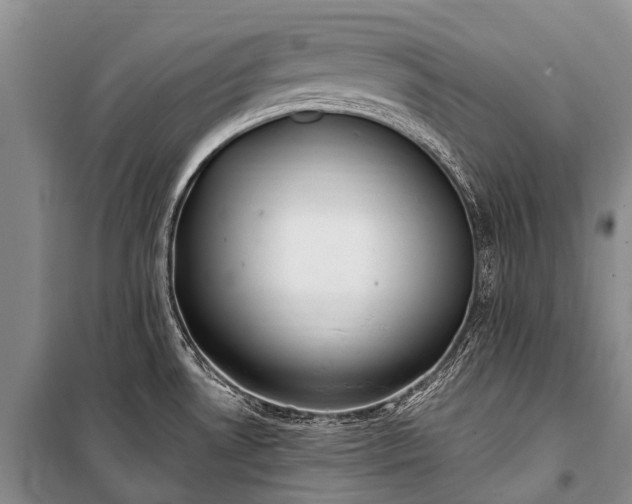 X0000100961530200807011320