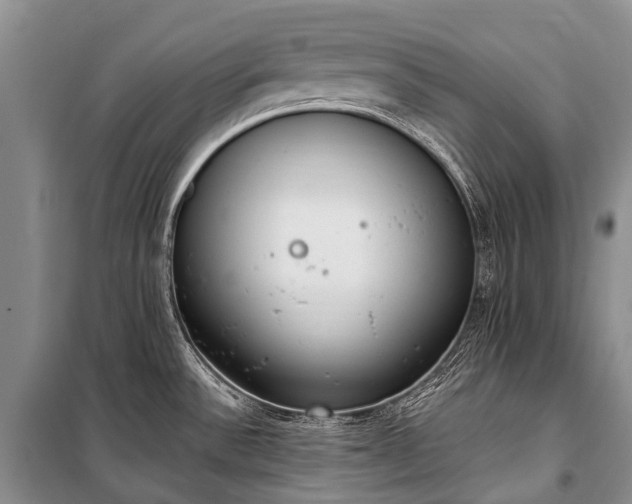 X0000100961532200807011320