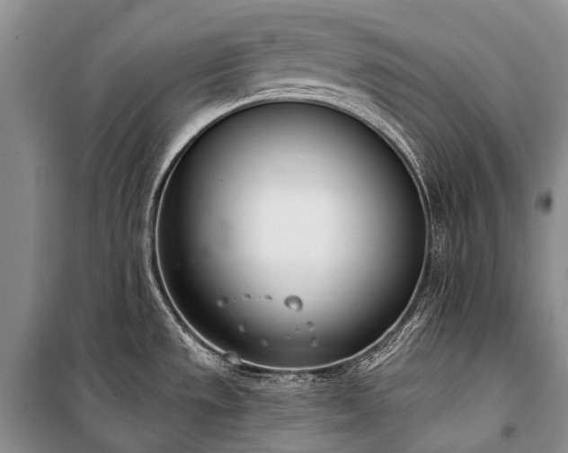 X0000100961533200807011320