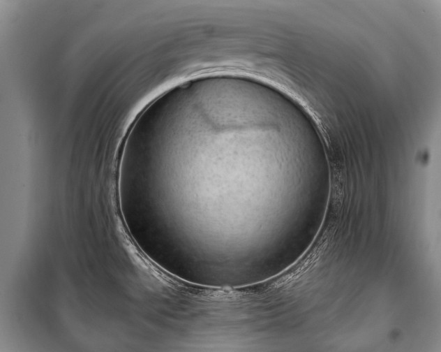 X0000100961534200807011320