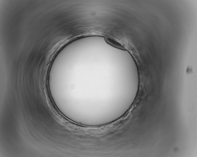 X0000100960001200807081253