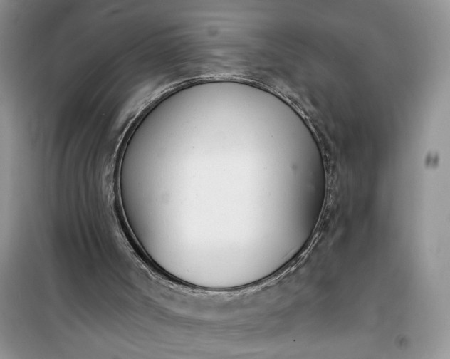 X0000100960002200807081253