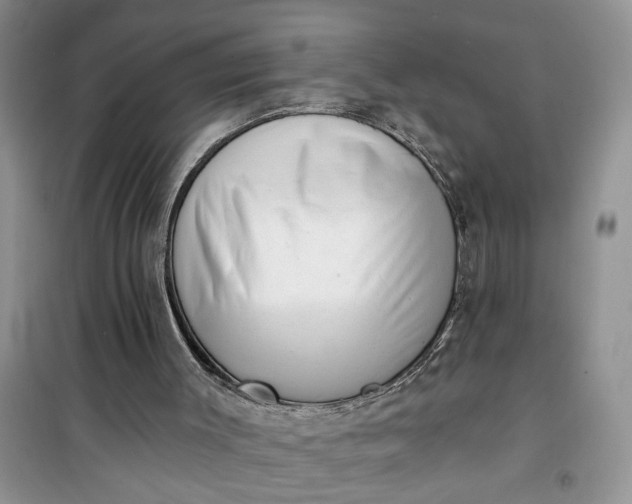 X0000100960003200807081253