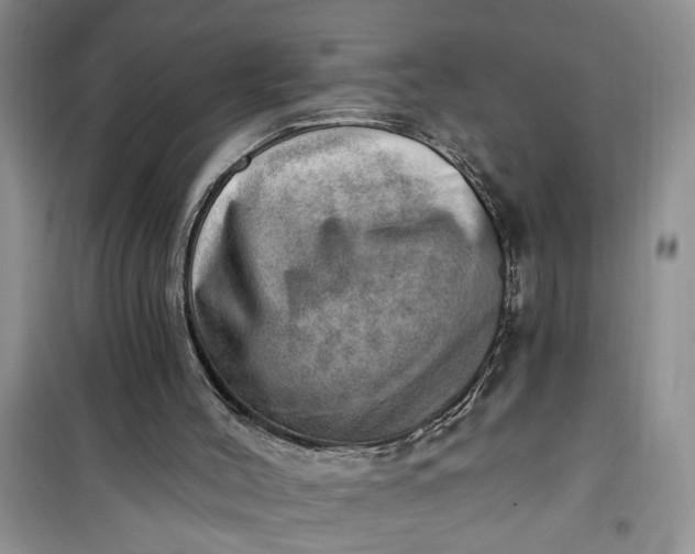 X0000100960004200807081253