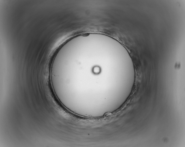 X0000100960005200807081253