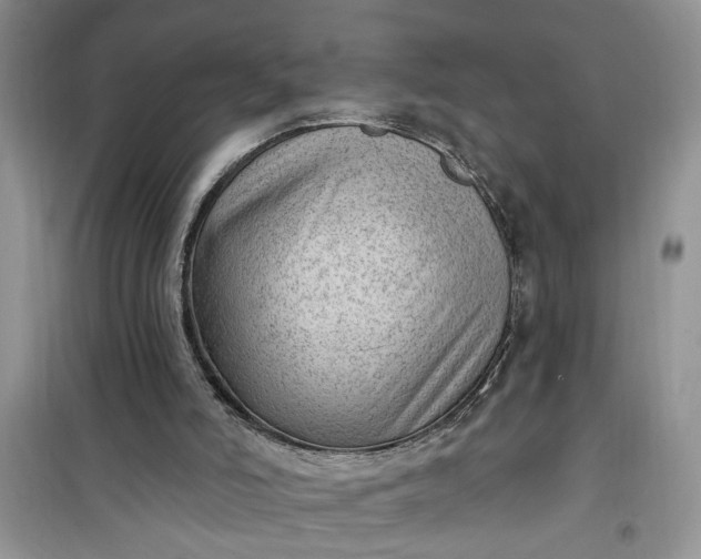 X0000100960006200807081253