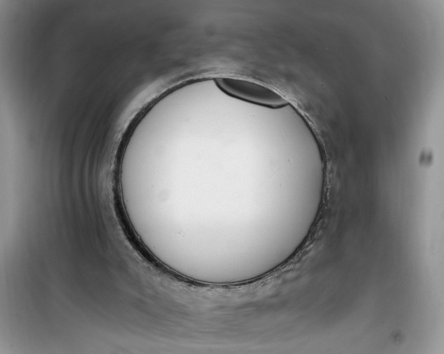 X0000100960007200807081253