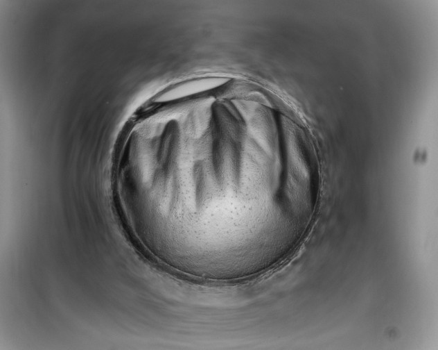 X0000100960008200807081252