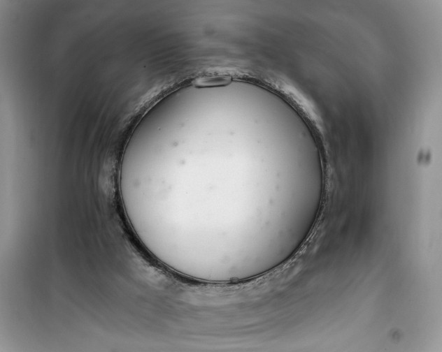 X0000100960009200807081252