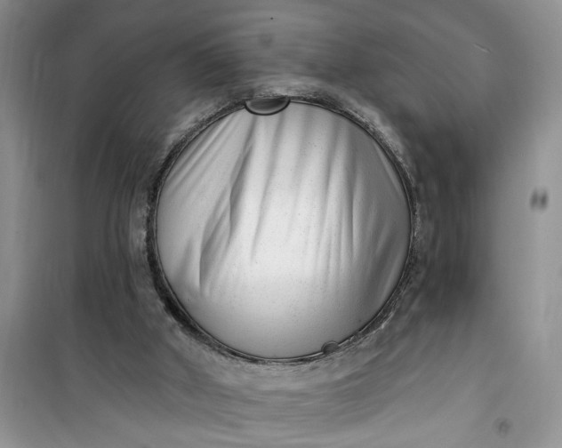 X0000100960010200807081252