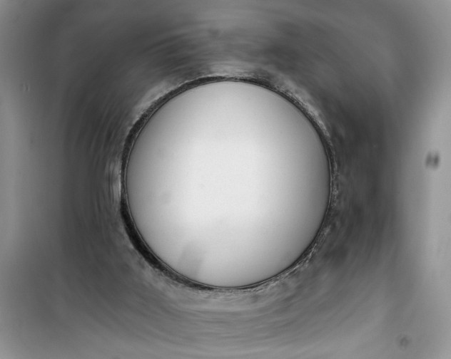 X0000100960011200807081252