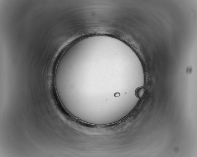 X0000100960012200807081252