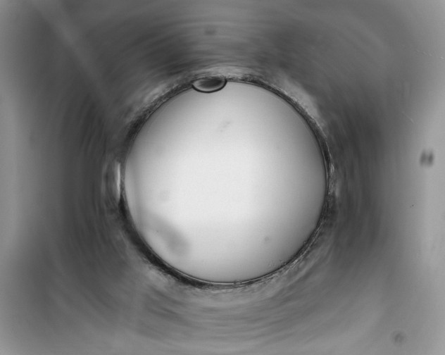 X0000100960013200807081252