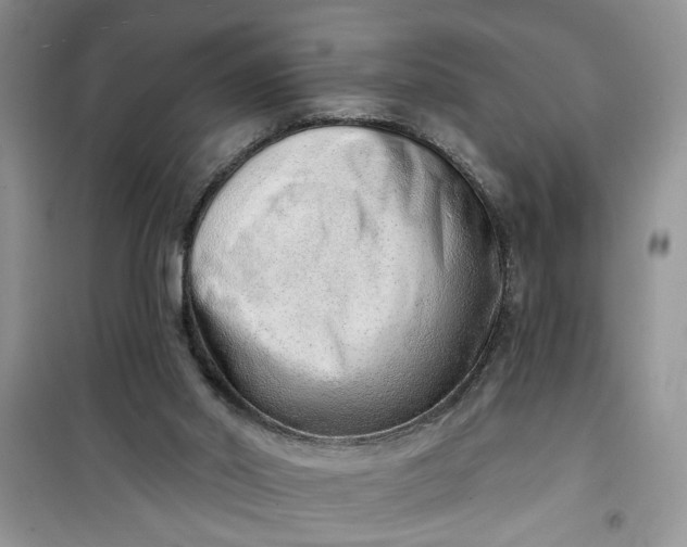 X0000100960014200807081252