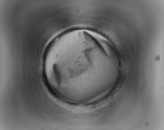 X0000100960016200807081252