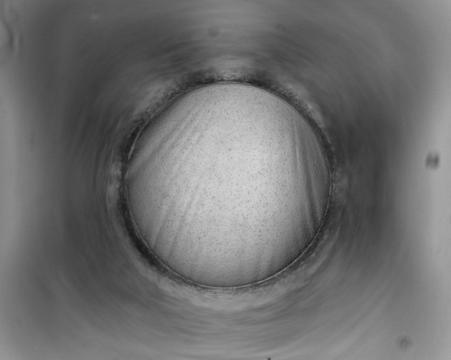 X0000100960018200807081252