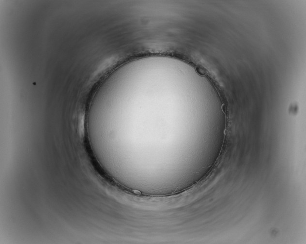 X0000100960019200807081252