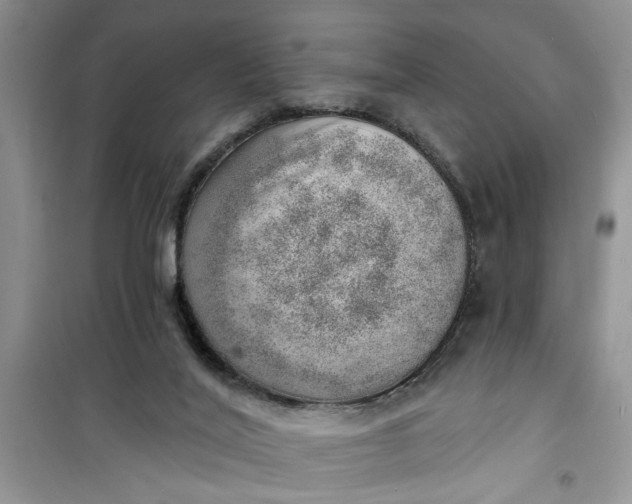 X0000100960020200807081252