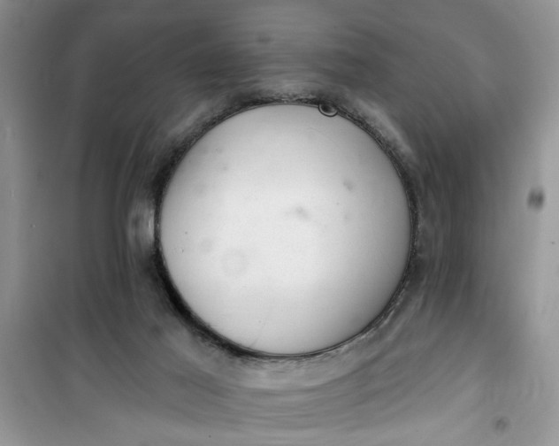 X0000100960021200807081252