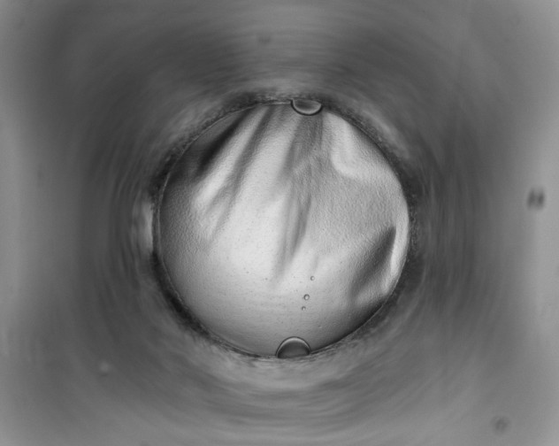 X0000100960022200807081252